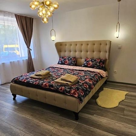 Escape Residence Vişeu de Sus Eksteriør bilde