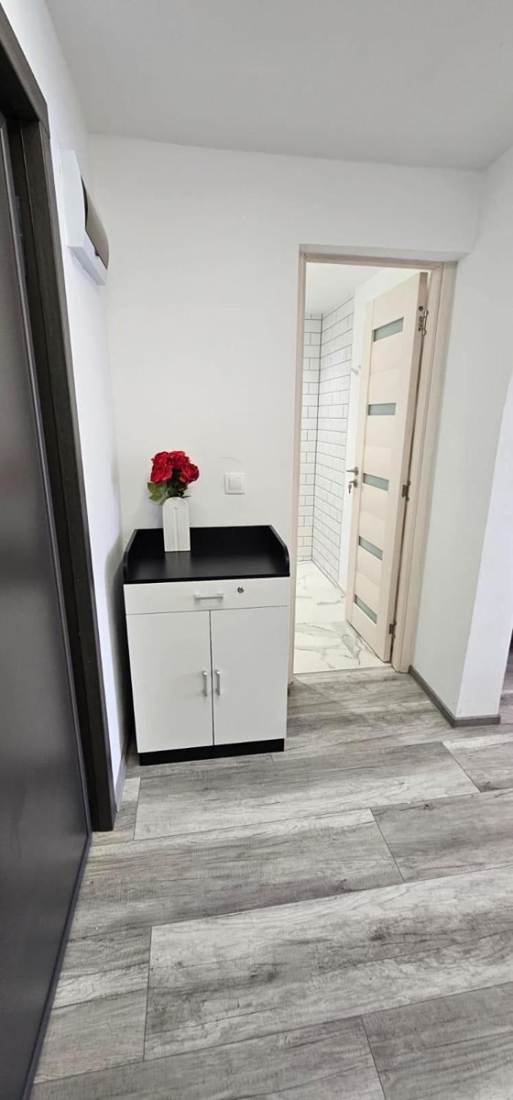 Escape Residence Vişeu de Sus Eksteriør bilde