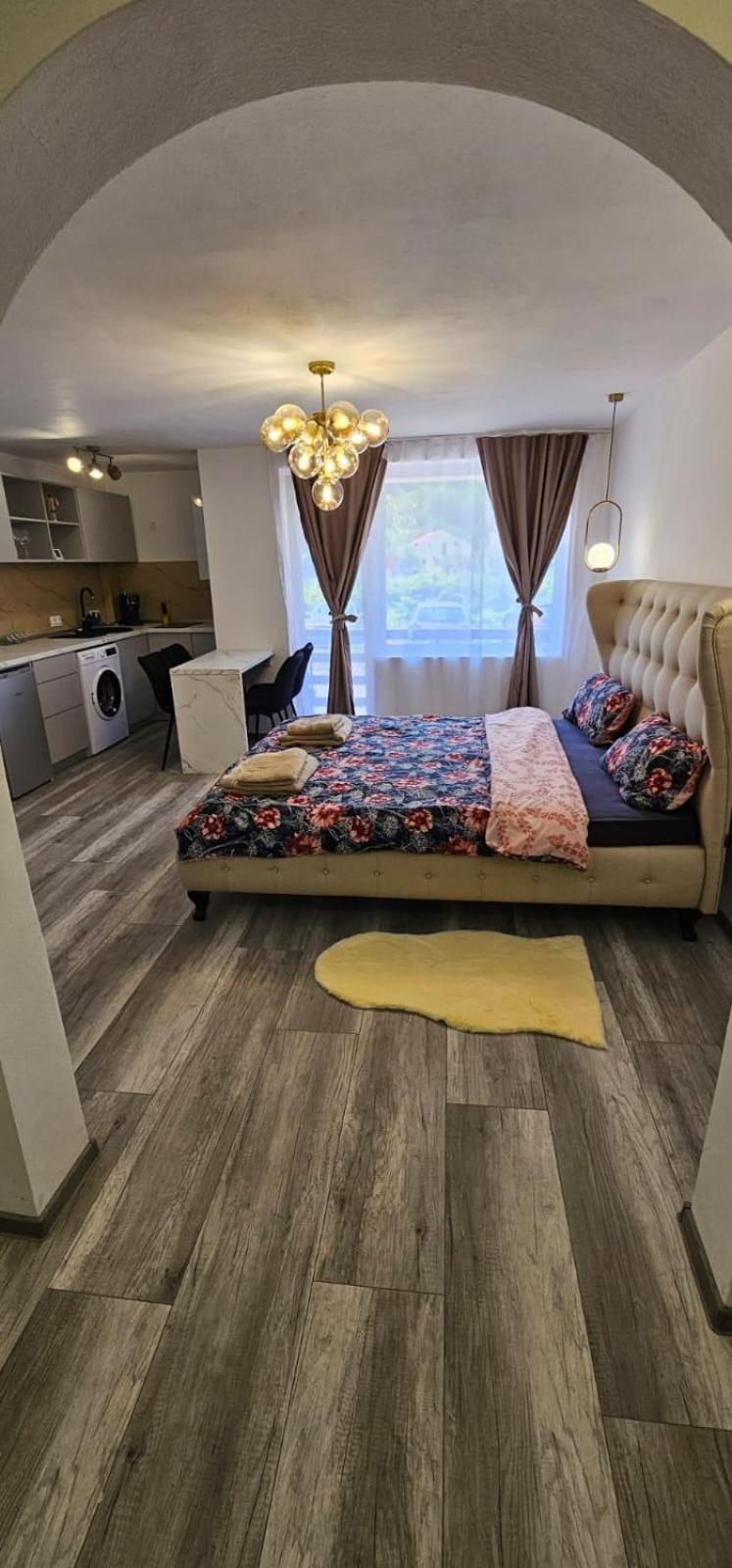 Escape Residence Vişeu de Sus Eksteriør bilde